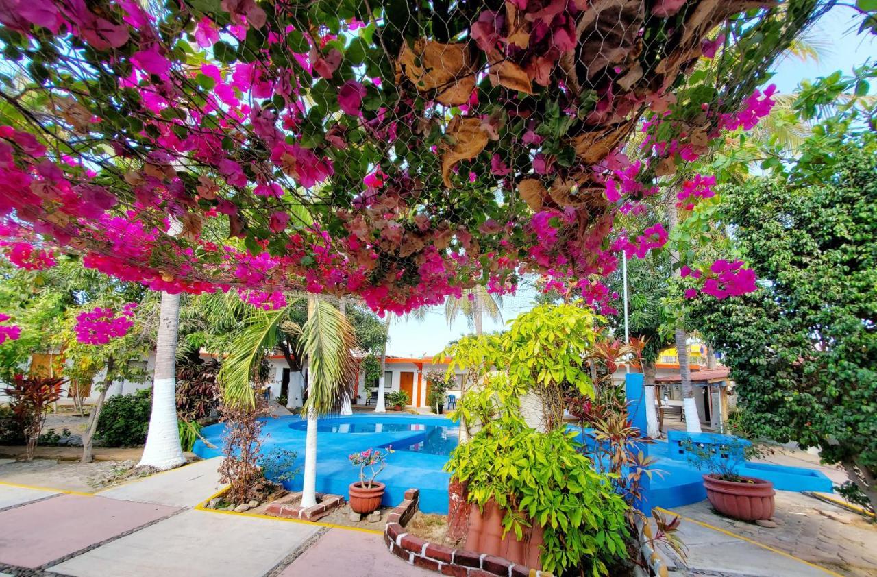 Hotel Oasis Melaque ซาน พาทริชิโอ เมลาเก ภายนอก รูปภาพ